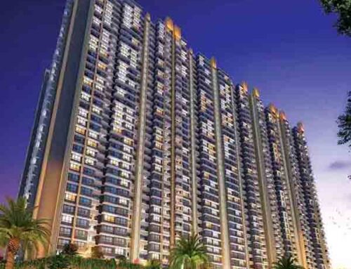 Steps to Verify Real Estate Developer Credentials